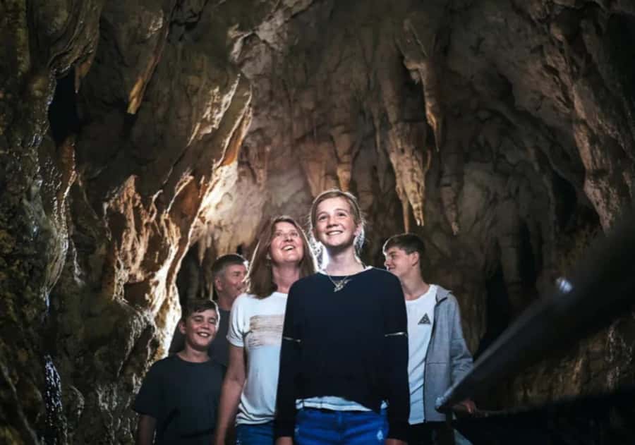 From Auckland: Day Trip to Waitomo Glow Worm Caves - Timing, comfort, and useful planning tips