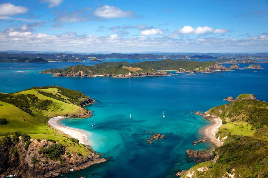 From Auckland: Full Day Private Tour to the Bay of Islands - Key points to know before booking