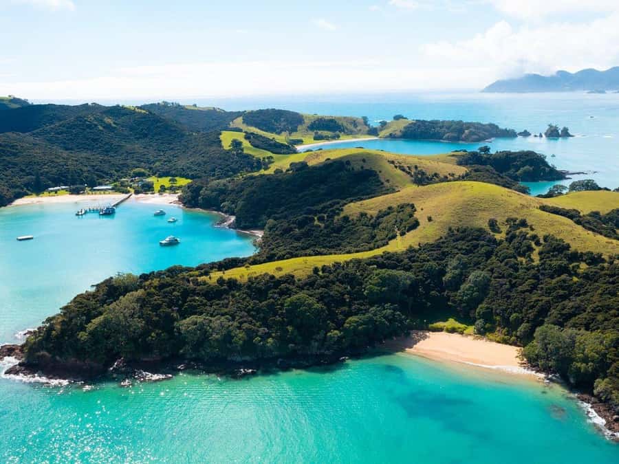 From Auckland: Full Day Private Tour to the Bay of Islands - Who will enjoy this day most