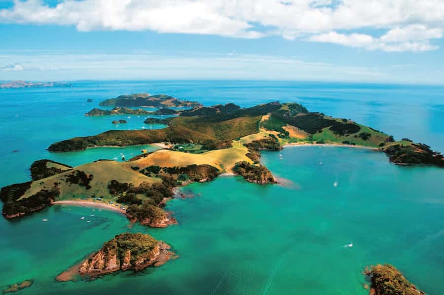 From Auckland: Full-Day Tour to the Bay of Islands - The Hole in the Rock at Motukokako Island