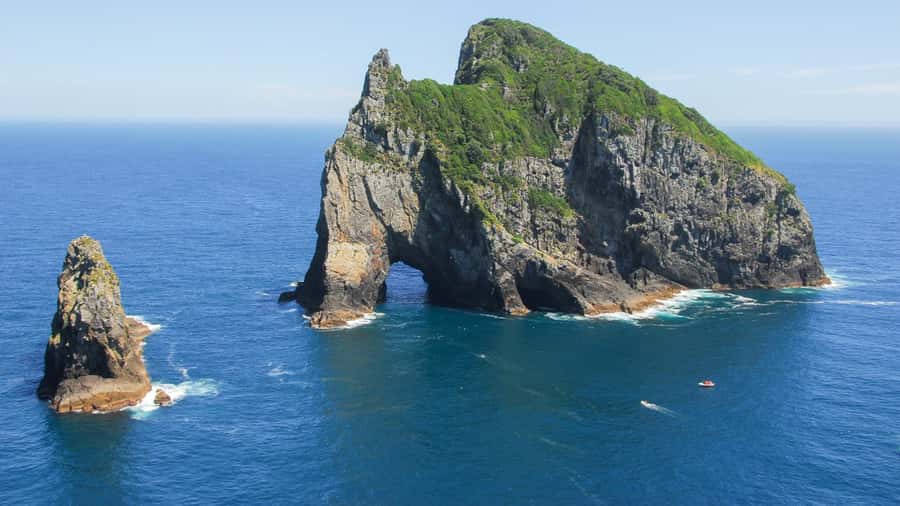 From Auckland: Full-Day Tour to the Bay of Islands - Urupukapuka Island: a short break with several choices