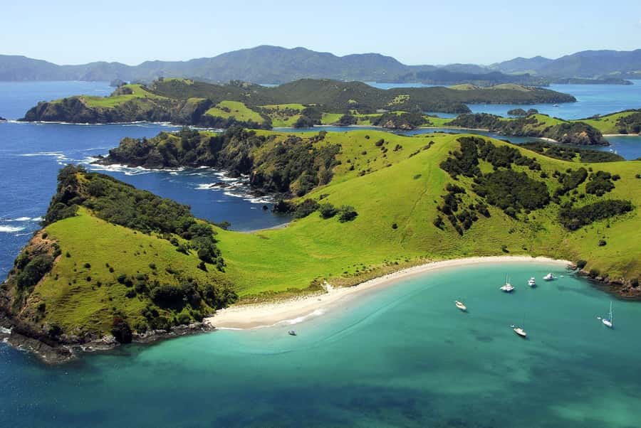 From Auckland: Full-Day Tour to the Bay of Islands - Paihia and the long-awaited boat cruise