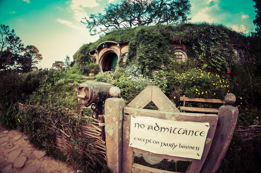 From Auckland: Hobbiton Afternoon Tour - Why the late departure works so well