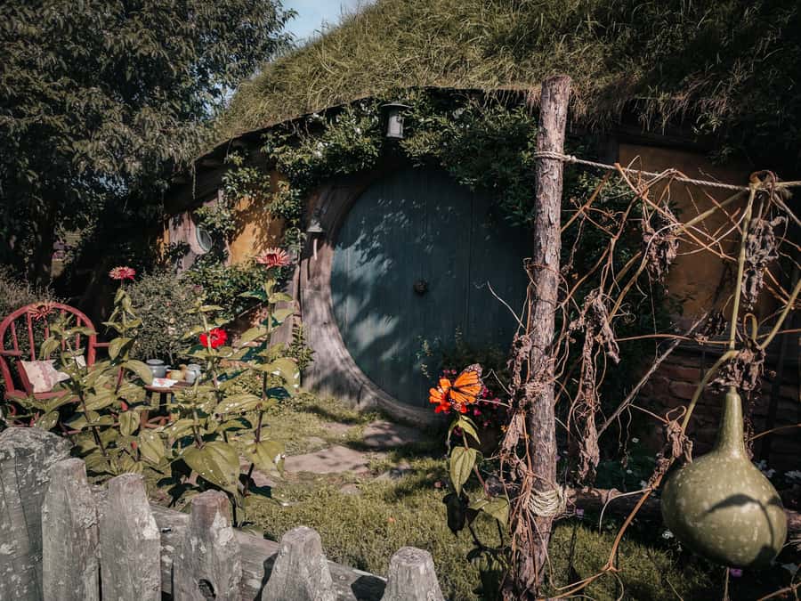 From Auckland: Hobbiton Afternoon Tour - A more comfortable minibus than the standard setup