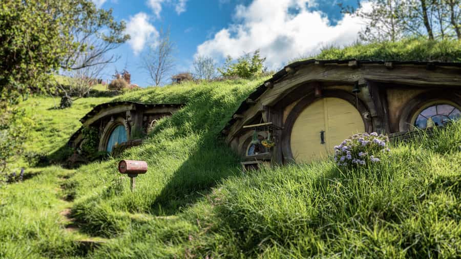 From Auckland: Hobbiton Afternoon Tour - Riding south through Waikato