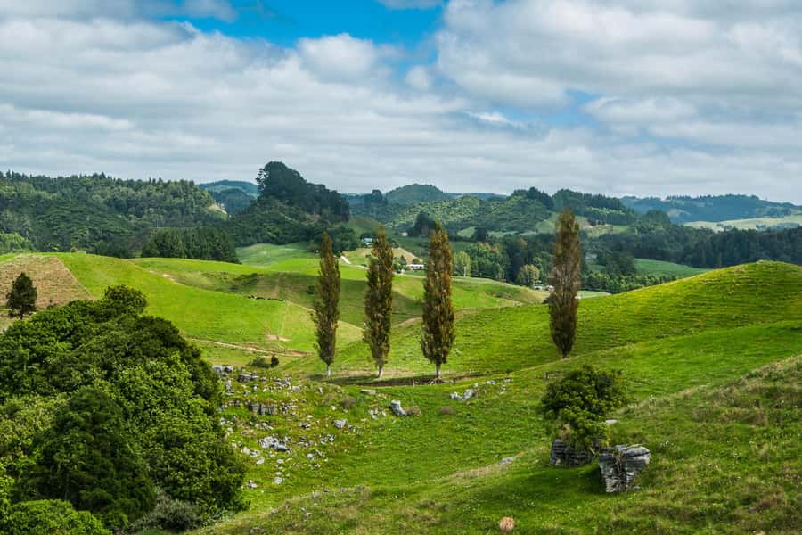 From Auckland: Hobbiton and Waitomo Day Tour with Lunch - Why combine Hobbiton and Waitomo?