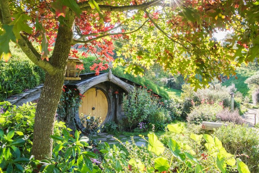 From Auckland: Hobbiton and Waitomo Day Tour with Lunch - The long ride back to Auckland