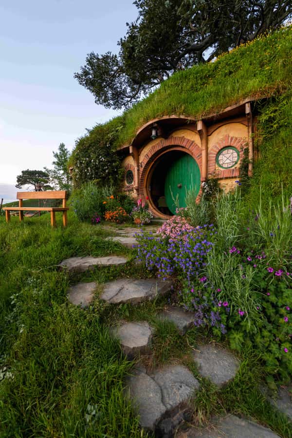 From Auckland: Hobbiton Movie Set and Waitomo Caves Tour - Is the $234 price good value?