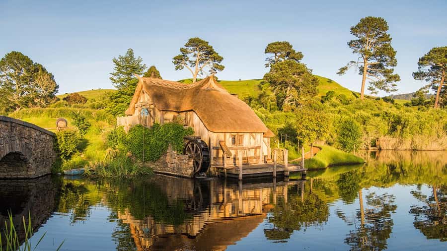 From Auckland: Hobbiton Movie Set Full-Day Trip - The return to Auckland