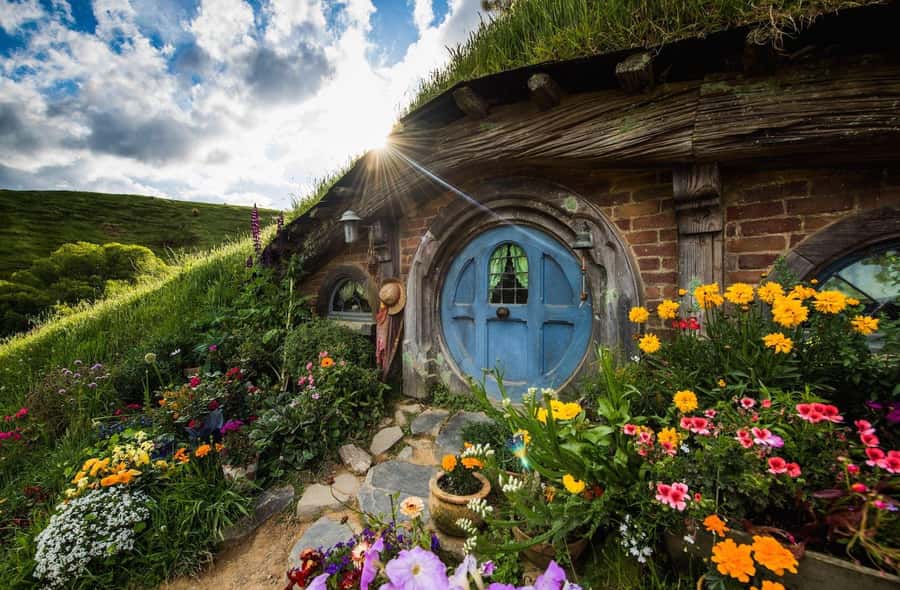 From Auckland: Hobbiton Movie Set - Private Tour - Key points at a glance