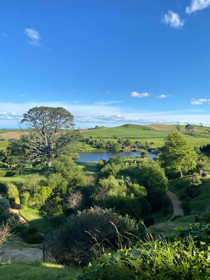 From Auckland: Hobbiton Movie Set - Private Tour - What the $477 price buys you