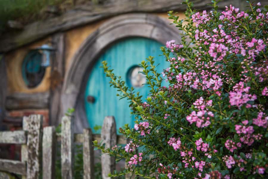 From Auckland: Hobbiton Movie Set Trip with Guided Tour - What to bring for a smoother visit
