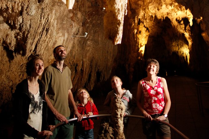 From Auckland:Hobbiton Movie Set & Waitomo Caves Small Group Tour - A sensible lunch break near Waitomo