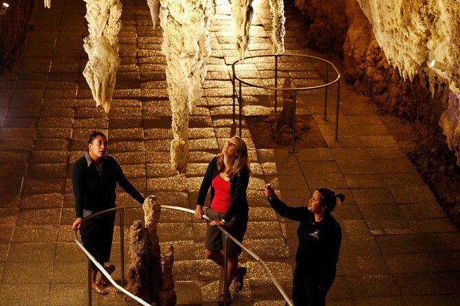 From Auckland:Hobbiton Movie Set & Waitomo Caves Small Group Tour - Who should book this day trip?
