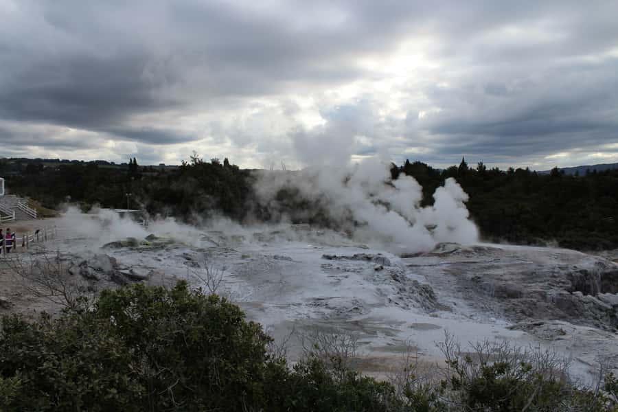 From Auckland: Hobbiton & Rotorua Tour with Lunch at Te Puia - Should you book this Auckland to Hobbiton and Rotorua tour?