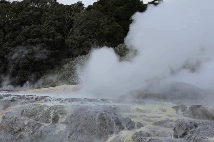 From Auckland: Hobbiton & Rotorua Tour with Lunch at Te Puia - Comfort, walking, and weather