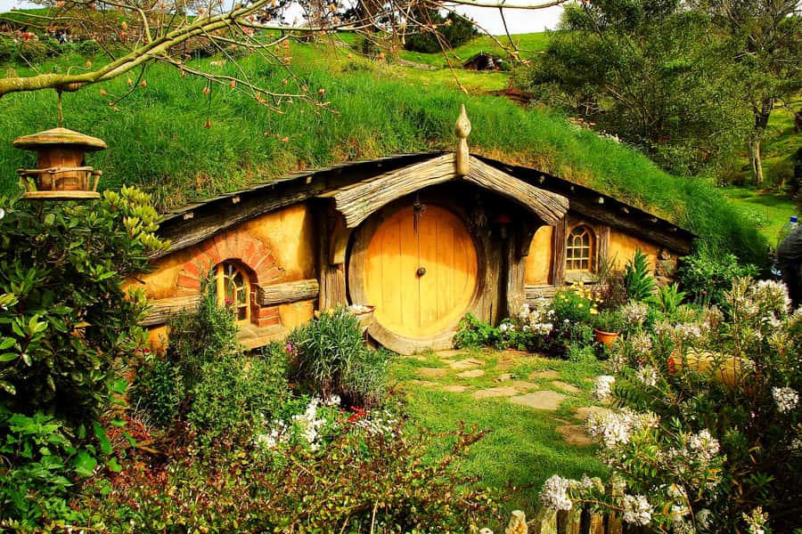 From Auckland: Hobbiton & Rotorua Tour with Lunch at Te Puia - Who will get the most from this tour
