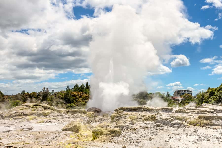 From Auckland: Hobbiton & Rotorua Tour with Lunch at Te Puia - Is $286 good value?