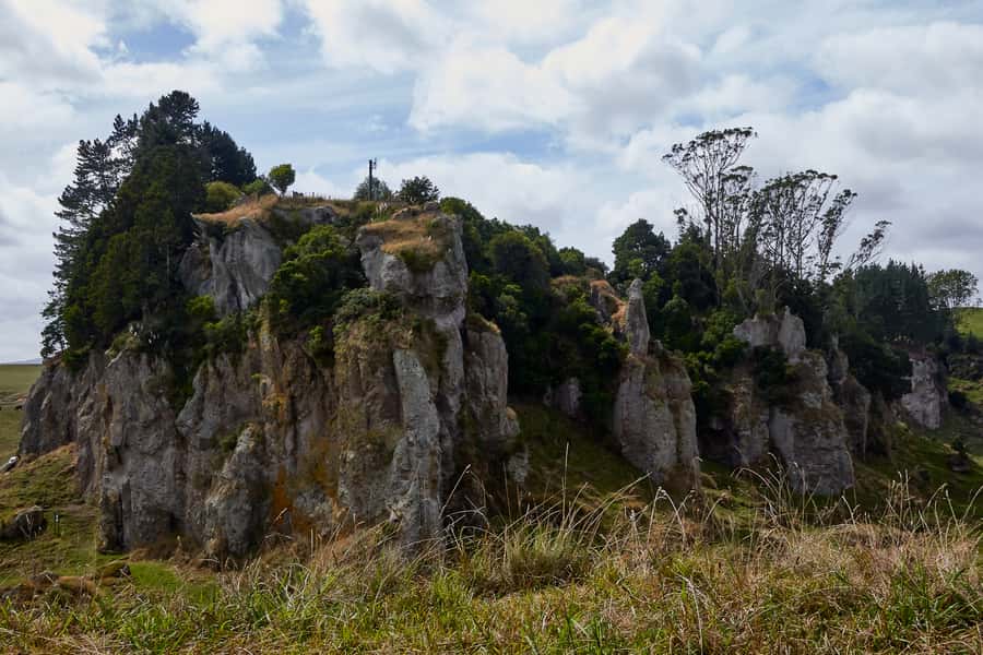 From Auckland or Rotorua: Hobbiton & Waitomo Tour with Lunch - Waitomo Glowworm Cave: quiet, dark, and very different