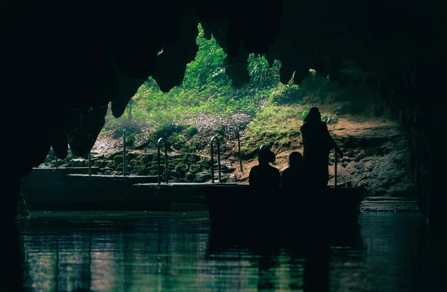 From Auckland: Rotorua Māori Village, Haka & Glowworm Caves - What the $226 price covers