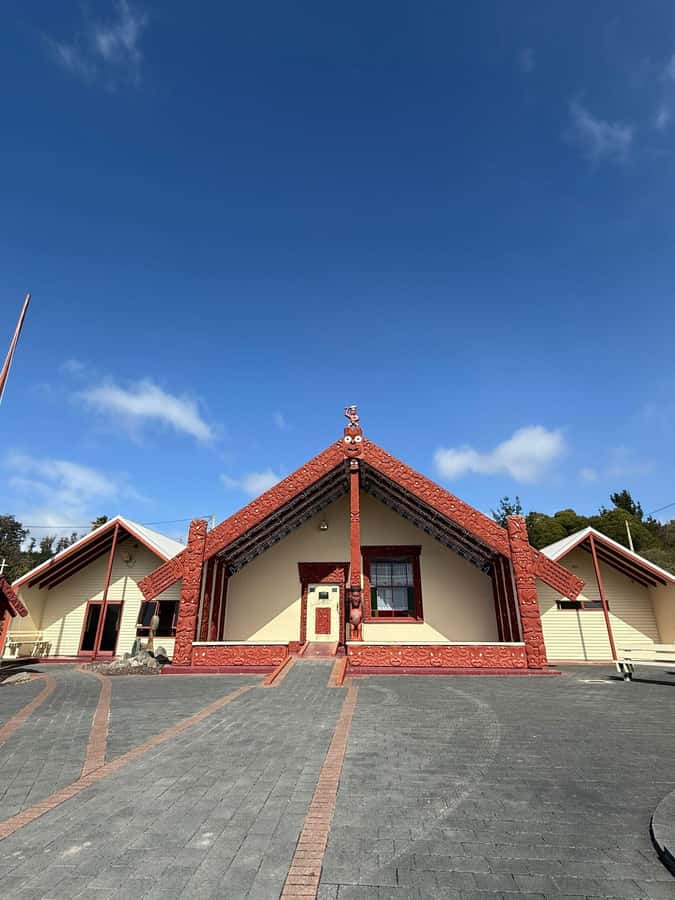 From Auckland: Rotorua Māori Village, Haka & Glowworm Caves - Who should book this day trip?