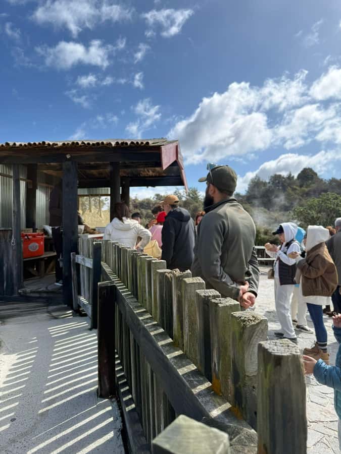 From Auckland: Rotorua Māori Village, Haka & Glowworm Caves - Should you book the Rotorua and Waitomo combination?