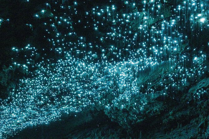 From Auckland: Spellbound, Waitomo Glowworm Cave Small Group Tour - Key points to know before you book