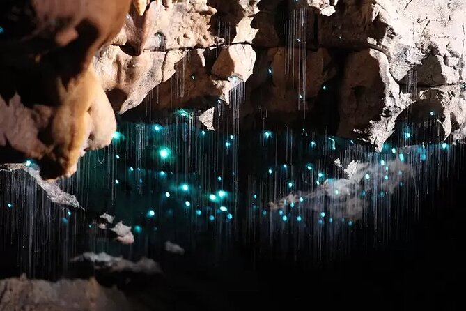 From Auckland: Spellbound, Waitomo Glowworm Cave Small Group Tour - The Otorohanga lunch stop