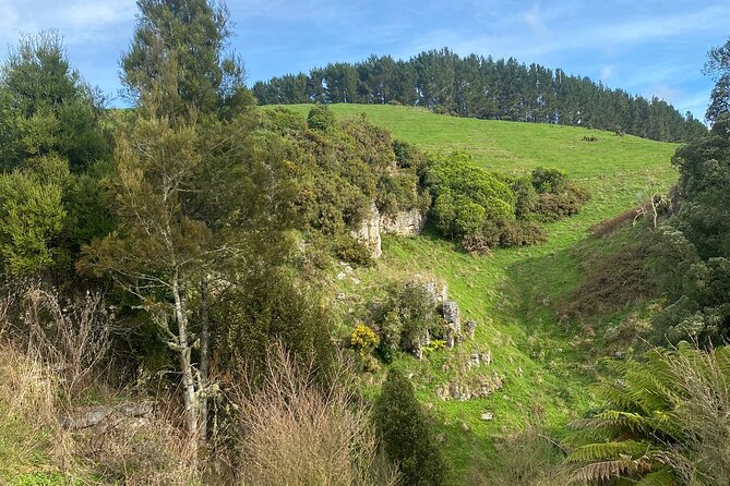 From Auckland: Spellbound, Waitomo Glowworm Cave Small Group Tour - Who will enjoy this tour most?