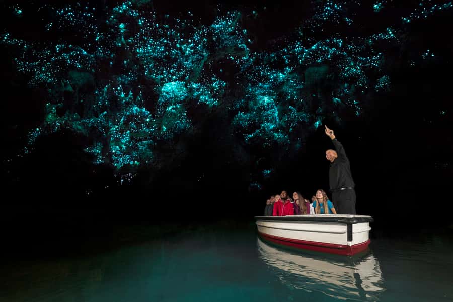 From Auckland: Two-Day Hobbiton, Rotorua, Waitomo Caves Tour - Rotorua’s hot ground and Te Puia