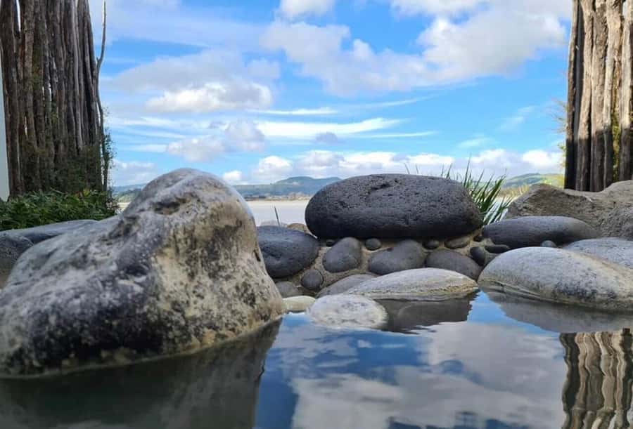 From Auckland: Wai-O-Tapu & Polynesian Spa Rotorua Day Tour - Who should book this Auckland day trip?