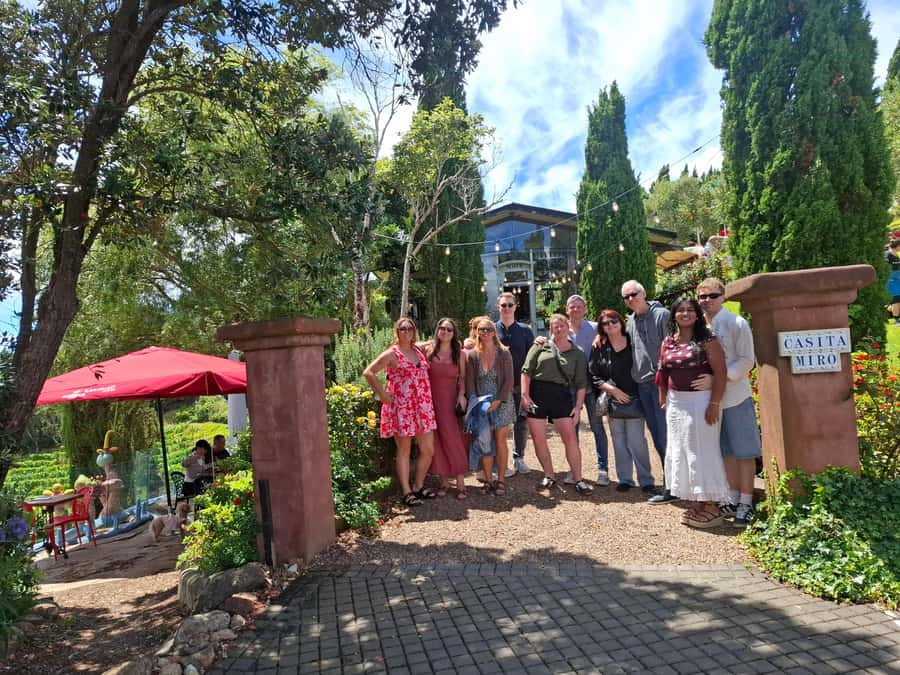 From Auckland: Waiheke Island Sip & Savour Tour with Lunch - Food pairings make the tastings more useful