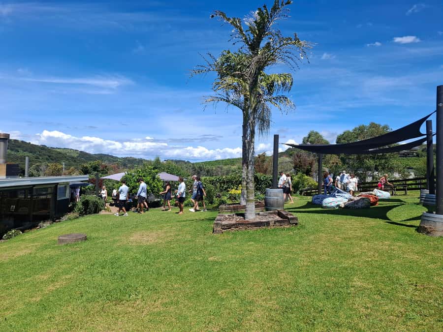 From Auckland: Waiheke Island Sip & Savour Tour with Lunch - The small group keeps the day moving