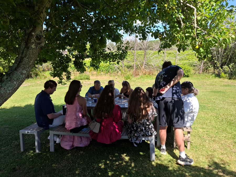 From Auckland: Waiheke Island Sip & Savour Tour with Lunch - Practical value and final verdict