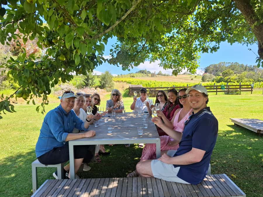 From Auckland: Waiheke Island Wine Cellar Tour - First and second vineyards: settling into the tastings