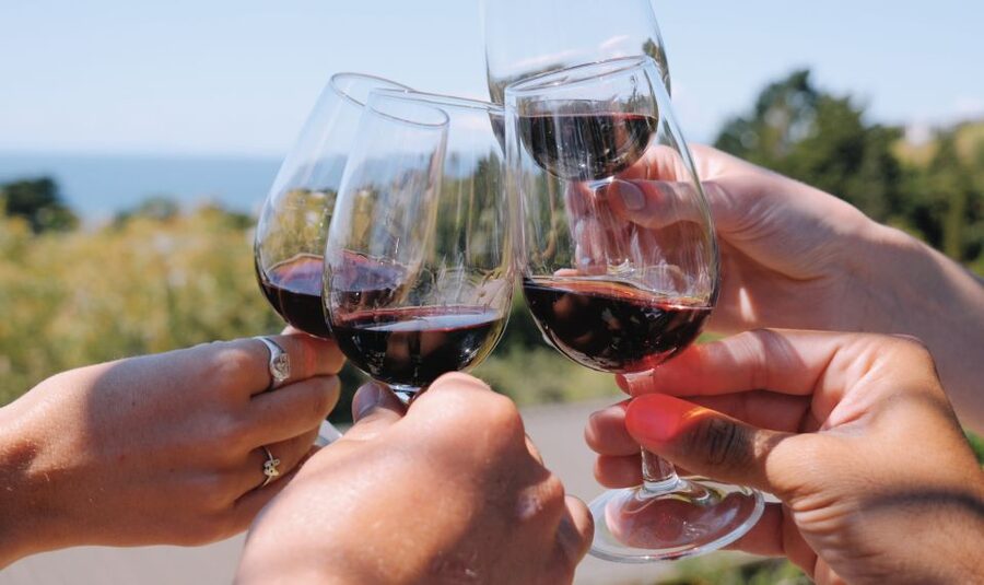 From Auckland: Waiheke Island Wine Cellar Tour - How much value do you get for $122?