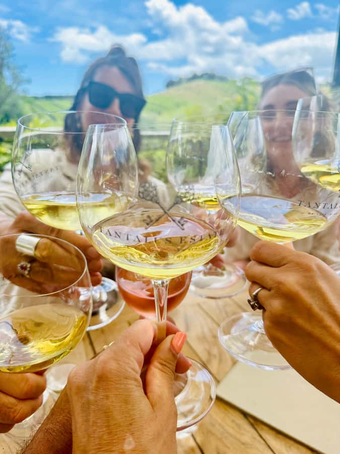 From Auckland: Waiheke Island Wineries' Tour - Four winery stops, with more variety than a standard tasting