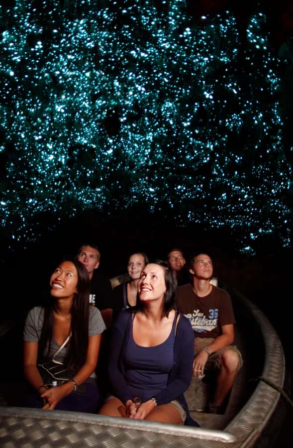 From Auckland: Waitomo Caves and Kiwi House Group Tour - Key points to know before booking