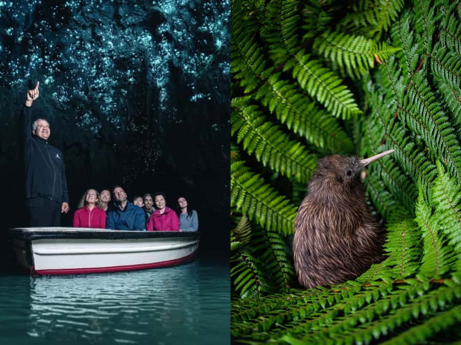 From Auckland: Waitomo Caves and Kiwi House Group Tour - Why Ruakuri Caves is the heart of the day