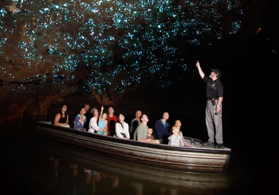 From Auckland: Waitomo Caves and Kiwi House Group Tour - The road from Auckland is part of the experience