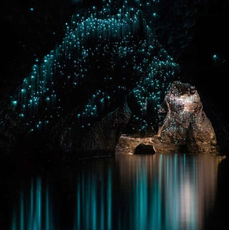 From Auckland: Waitomo Caves and Kiwi House Group Tour - Who should book this Auckland day trip?