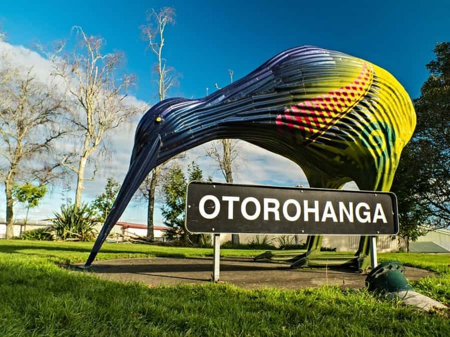 From Auckland: Waitomo Caves and Kiwi House Group Tour - Practical details that can shape your day