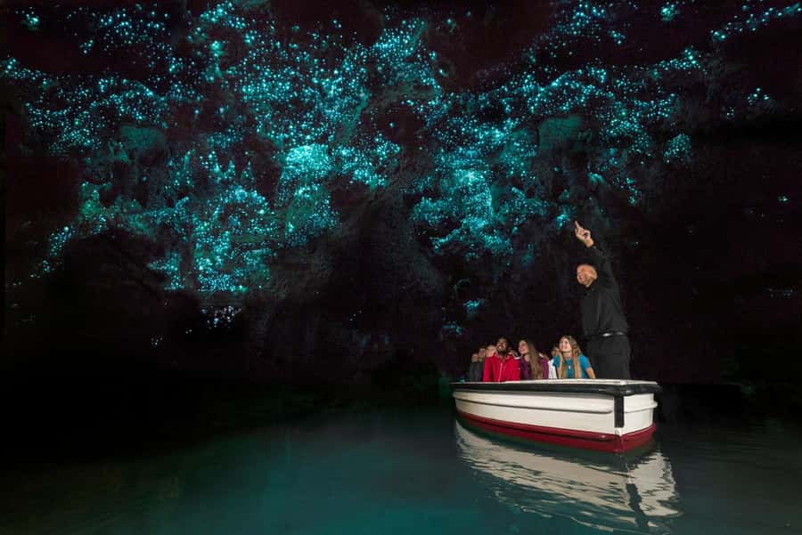 From Auckland: Waitomo Glow Worm Caves & Rotorua Tour - Key points to know before you book