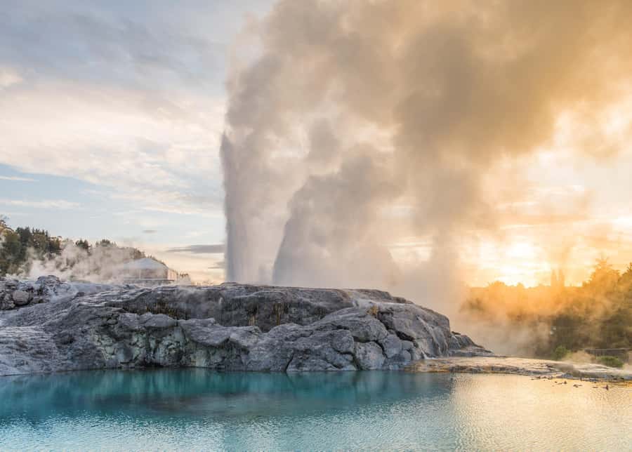 From Auckland: Waitomo Glow Worm Caves & Rotorua Tour - The return to Auckland