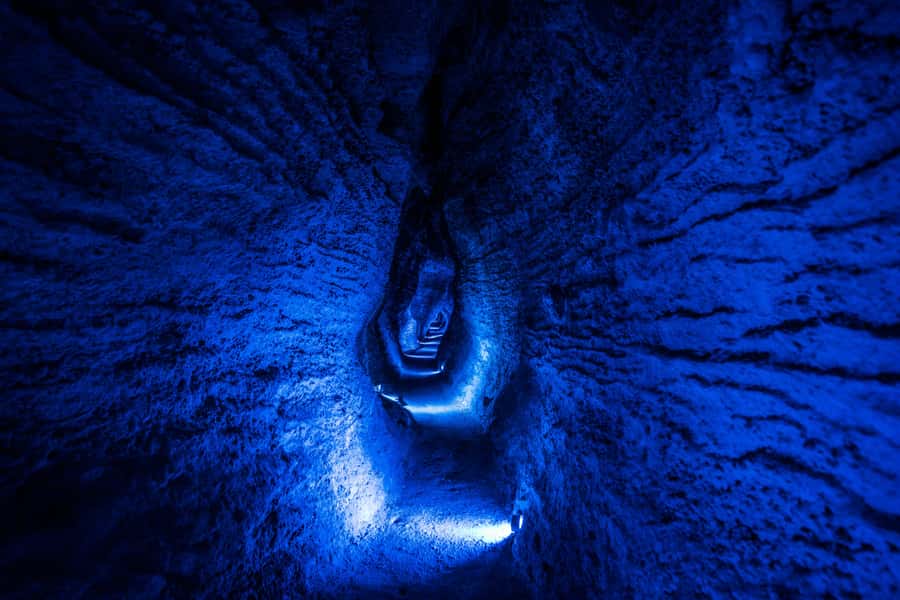 From Auckland: Waitomo Glowworm and Ruakuri Caves Day Tour - Key points to know