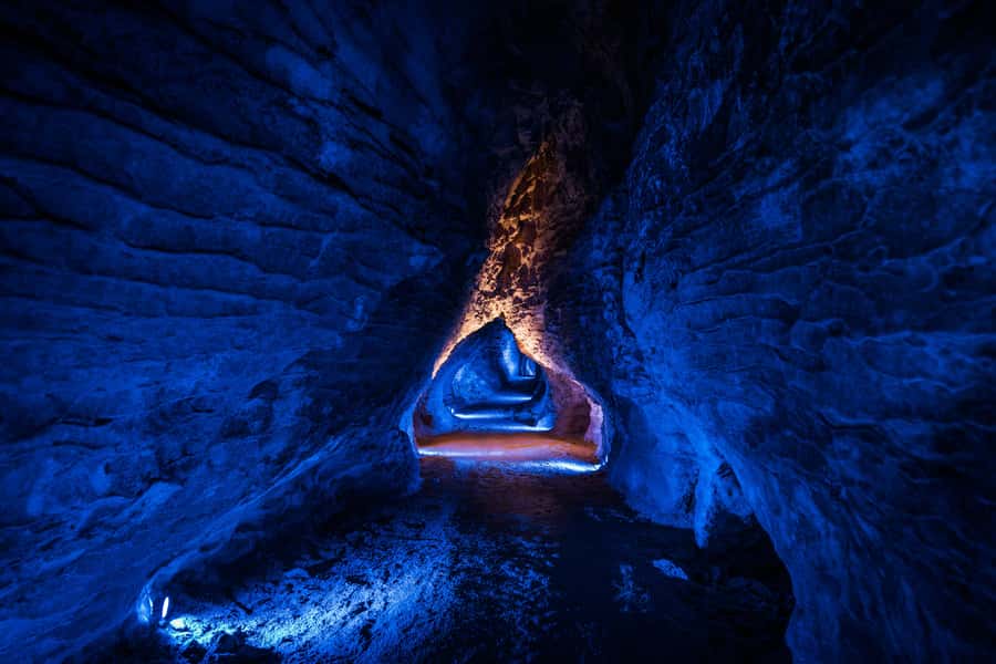 From Auckland: Waitomo Glowworm and Ruakuri Caves Day Tour - What the long return journey feels like