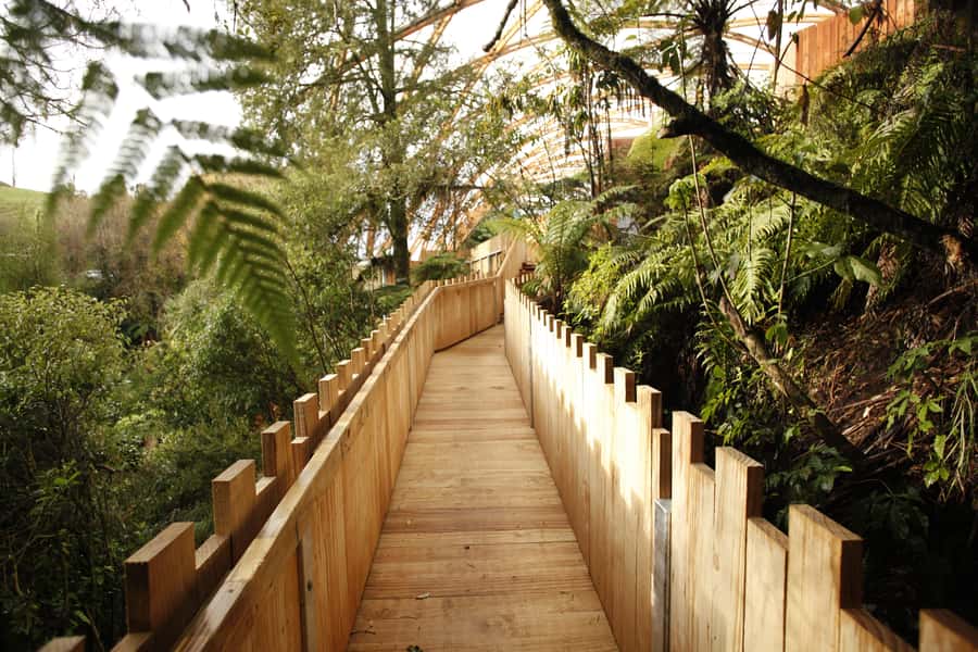 From Auckland: Waitomo Glowworm and Ruakuri Caves Day Tour - What to pack and what to leave behind