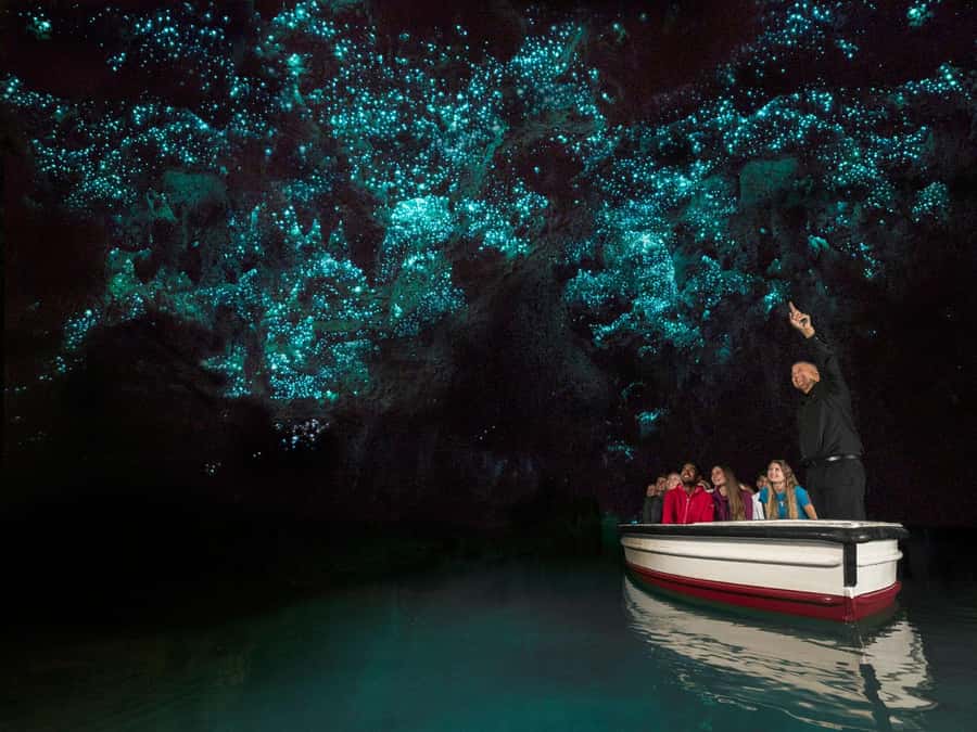 From Auckland: Waitomo Glowworm Cave Tour - The Auckland pickup makes the day easier