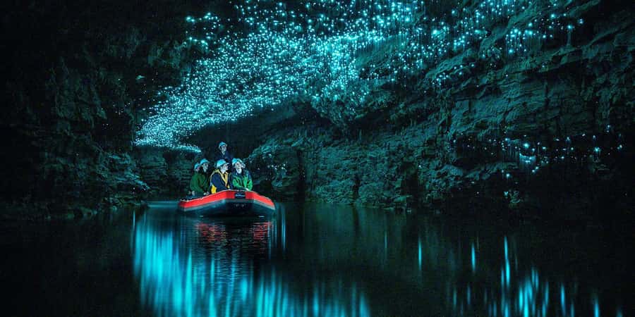 From Auckland: Waitomo Glowworm Cave Tour - Walking through the cave formations