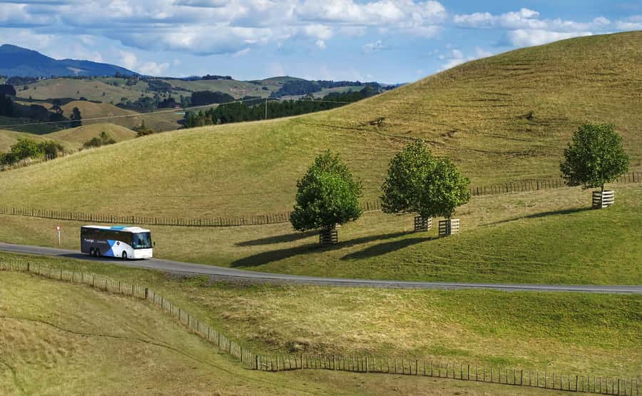 From Auckland: Waitomo & Hobbiton Bus Tour with Lunch - Is $261 good value?